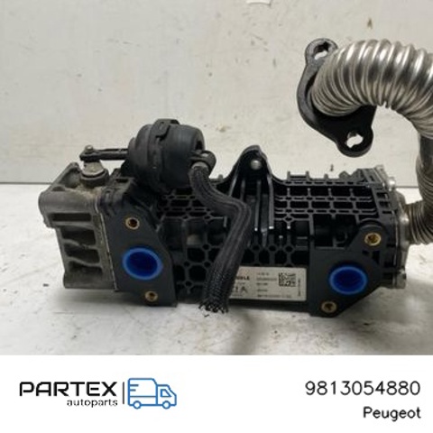PEUGEOT 9813054880 Патрубок системы рециркуляции отработавших газов EGR в наличии Запорожье