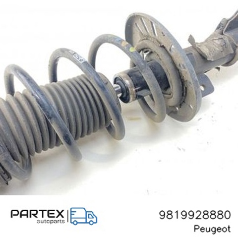 9819928880 Peugeot/Citroen