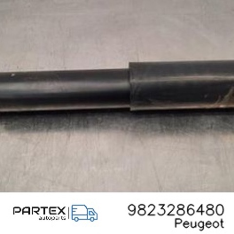 PEUGEOT 9823286480 Амортизатор задний в наличии Житомир