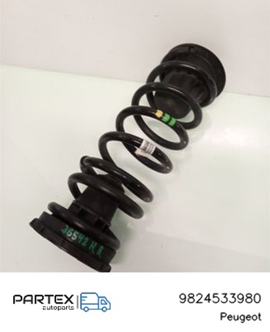 9824533980 PEUGEOT купить в Киев