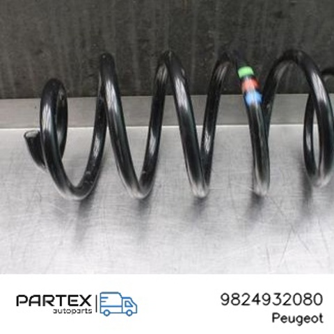 9824932080 Peugeot/Citroen