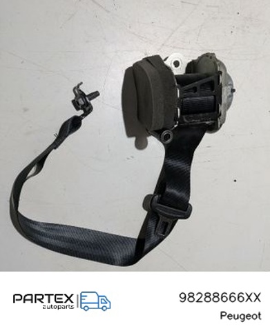 98288666XX Peugeot/Citroen
