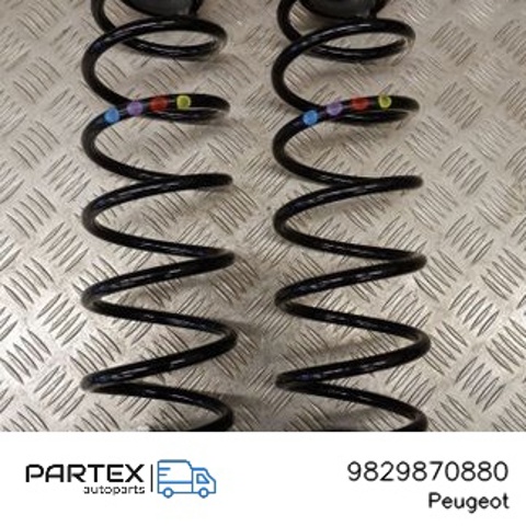 PEUGEOT 9829870880 в наличии Николаев