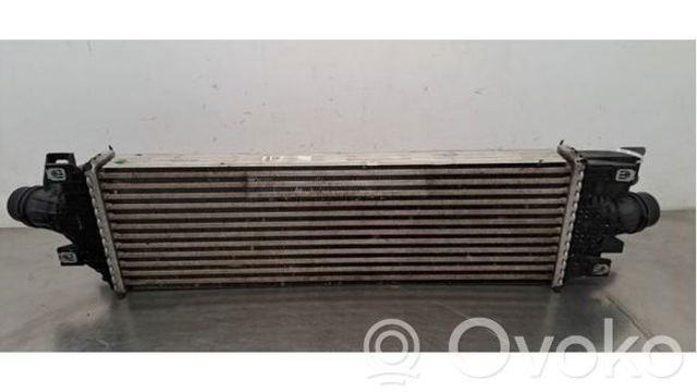 9833004180 Peugeot/Citroen