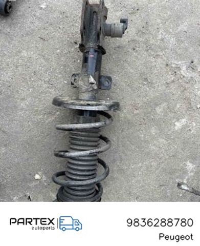 9836288780 купить Павлоград