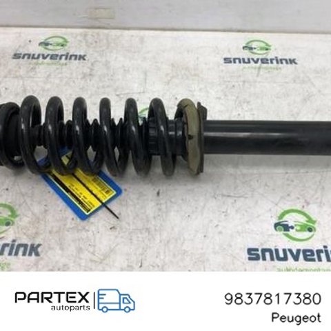 9837817380 Peugeot/Citroen