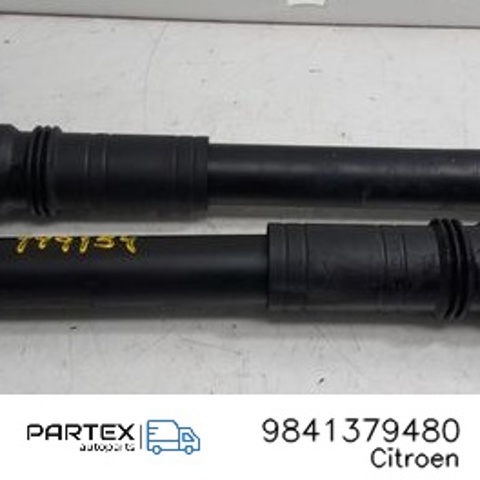 PEUGEOT 9841379480 Амортизатор задний в наличии Днепр