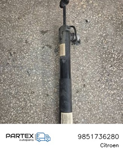 PEUGEOT 9851736280 в наличии Житомир