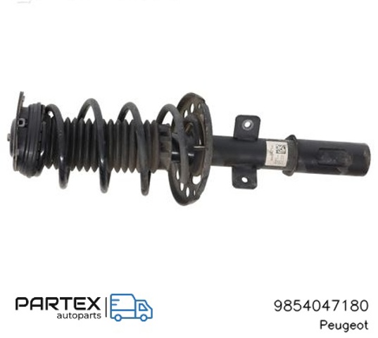 9854047180 Peugeot/Citroen