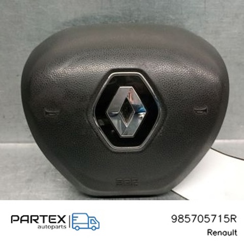 985705715R купить Каменское