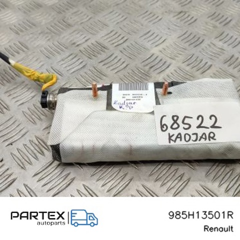 RENAULT 985H13501R в наличии Каменское