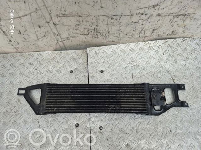1695000700 MERCEDES Радиатор охлаждения, АКПП/КПП купить в Запорожье