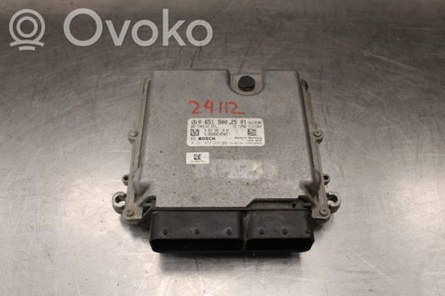 MERCEDES A6519002501 Модуль управления (ЭБУ) двигателем в наличии Полтава