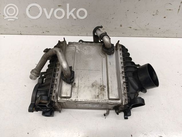 A6540906100 Интеркулер купить Ирпень