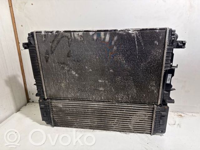 A9065000202 Радиатор охлаждения двигателя купить Каменское