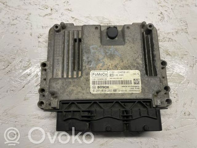 FORD C1B112A650AG в наличии Украина