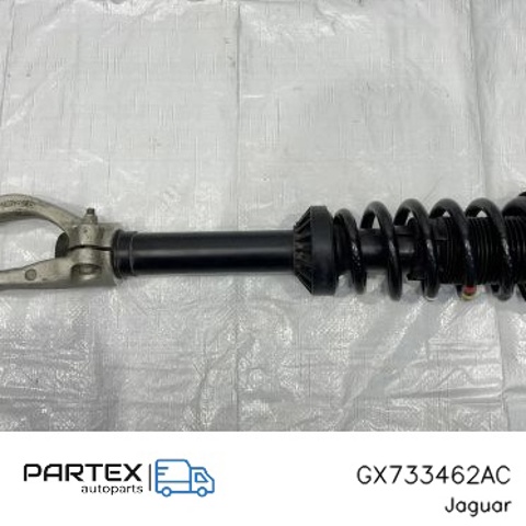 JAGUAR GX733462AC в наличии Кривой Рог