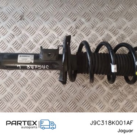 JAGUAR J9C318K001AF в наличии Украина