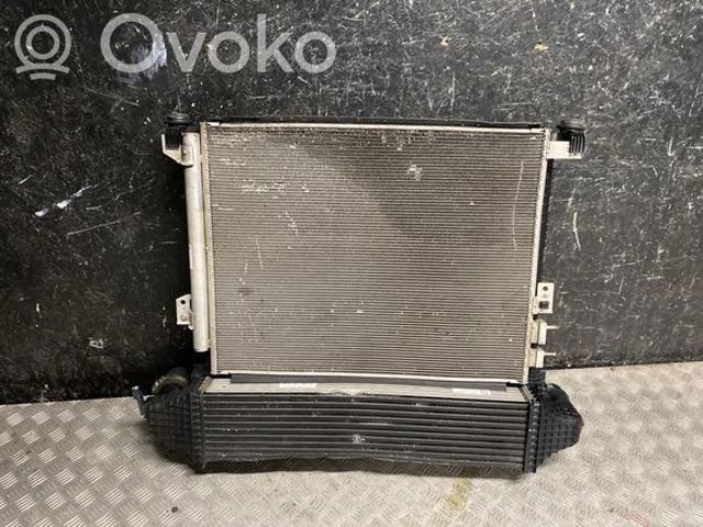 L1M38005BE Радиатор охлаждения двигателя купить Житомир