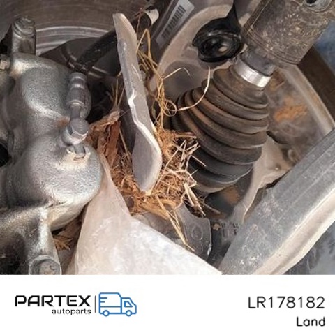 LR178182 купить Киев