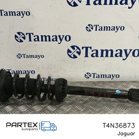 T4N36873 JAGUAR купить в Каменское
