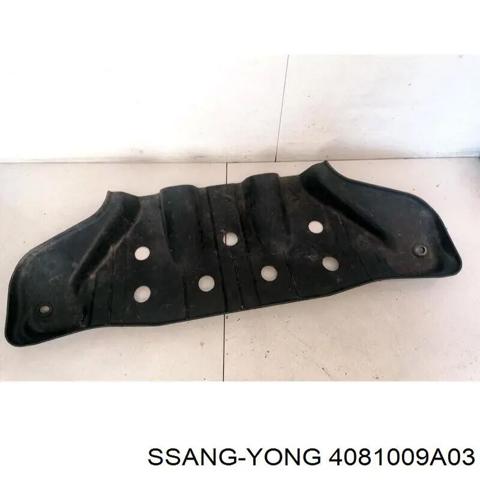 SSANG YONG 4081009A03 Защита двигателя, поддона (моторного отсека) в наличии Киев