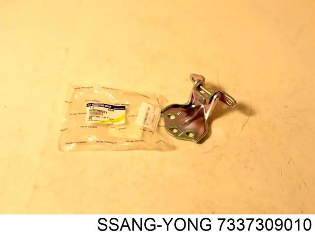 7337309010 SSANG YONG Стекло-форточка двери задней левой купить в Черновцы