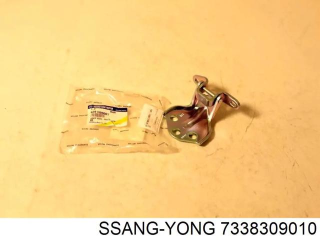 7338309010 SSANG YONG Стекло-форточка двери задней правой купить в Чернигов
