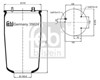 Coxim pneumático (suspensão de lâminas pneumática) do eixo traseiro 35624 FEBI