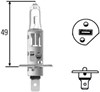 Lâmpada halógena 8GH002089131 HELLA