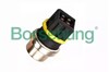 Sensor de temperatura do fluido de esfriamento B13134 BORSEHUNG