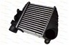 Radiador de intercooler DAW001TT THERMOTEC