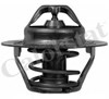 Termostato TH604789J VERNET