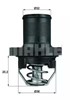 Termostato TI4789 MAHLE