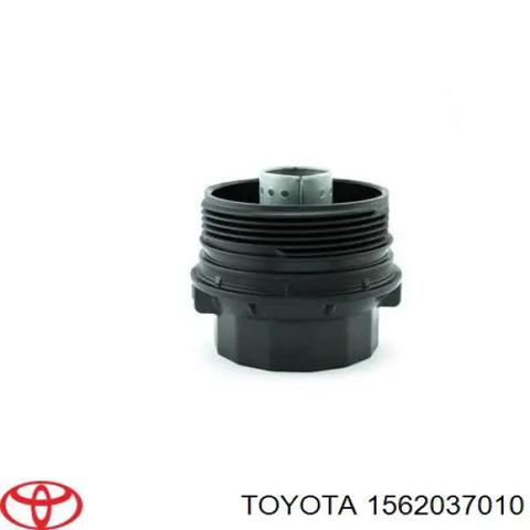 1562037010 TOYOTA Крышка масляного фильтра купить в Черновцы