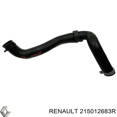 Патрубок системы охлаждения 215012683R RENAULT