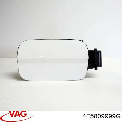 Горловина бензобака 4F5809999G VAG