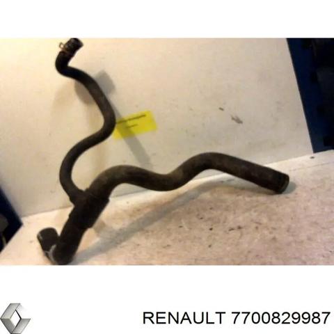 Шланг радиатора охлаждения нижний 7700829987 RENAULT