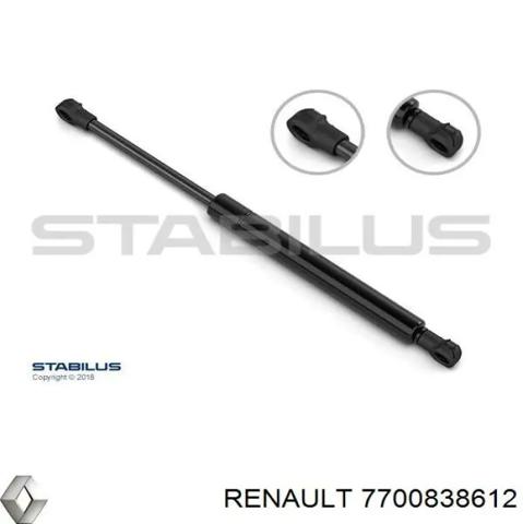 Амортизатор двери багажника 7700838612 RENAULT