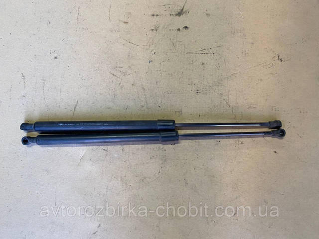 Амортизатор задней двери 904500004R RENAULT