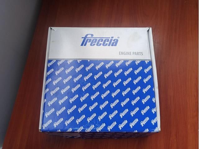 TK081159 FRECCIA Цепь ГРМ, комплект купить в Винница