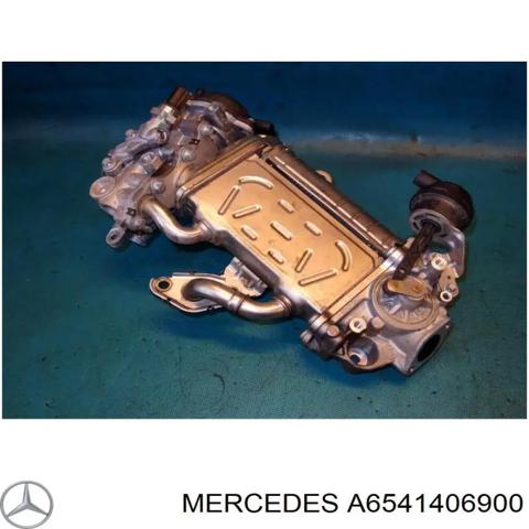 Клапан EGR, рециркуляции газов A6541406900 MERCEDES