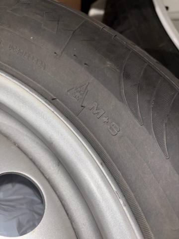 9815311677 Firestone