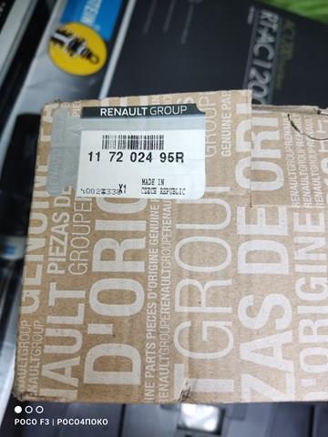 117202495R RENAULT Ремень агрегатов приводной, комплект купить в Черновцы