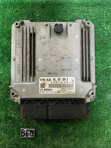 VAG 04L907309B Блок управления двигателем в наличии Полтава