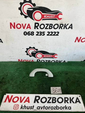 Ручка салона, крыши 1K0857607N VAG