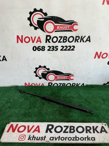 Амортизатор крышки багажника 1T0827550H VAG