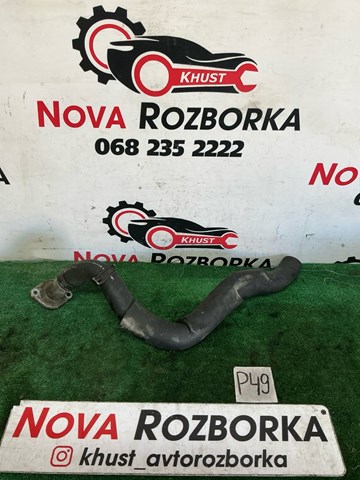 254123E910 HYUNDAI Нижний шлаг радиатора охлаждения купить в Хмельницкий