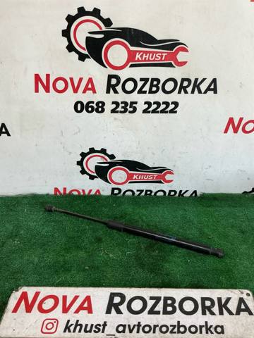 Амортизатор задней двери 39040587 OPEL