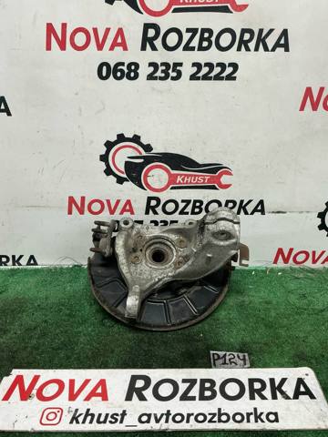 Цапфа (поворотный кулак) передний правый 3C0407254F VAG